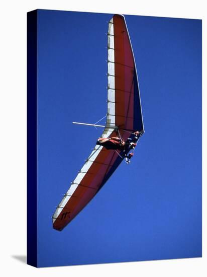 Hang Glider-null-Stretched Canvas