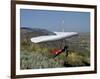 Hang Glider-null-Framed Photographic Print