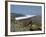 Hang Glider-null-Framed Photographic Print