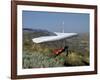 Hang Glider-null-Framed Photographic Print