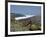 Hang Glider-null-Framed Photographic Print