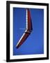 Hang Glider-null-Framed Photographic Print