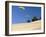 Hang Gliders over Dune Du Pyla, Bay of Arcachon, Cote D'Argent, Gironde, Aquitaine, France, Europe-Groenendijk Peter-Framed Photographic Print