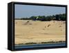 Hang Gliders over the Dune Du Pyla, Bay of Arcachon, Cote D'Argent, Gironde, Aquitaine, France-Groenendijk Peter-Framed Stretched Canvas