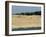 Hang Gliders over the Dune Du Pyla, Bay of Arcachon, Cote D'Argent, Gironde, Aquitaine, France-Groenendijk Peter-Framed Photographic Print