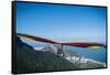 Hang gliding in Rio de Janeiro, Brazil, South America-Alexandre Rotenberg-Framed Stretched Canvas