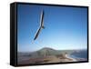 Hang Gliding on Coastline, New Zealand-David Wall-Framed Stretched Canvas