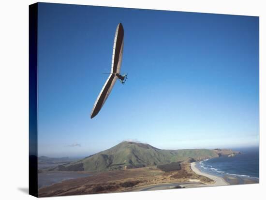 Hang Gliding on Coastline, New Zealand-David Wall-Stretched Canvas