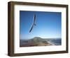 Hang Gliding on Coastline, New Zealand-David Wall-Framed Photographic Print