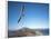 Hang Gliding on Coastline, New Zealand-David Wall-Framed Photographic Print