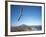 Hang Gliding on Coastline, New Zealand-David Wall-Framed Photographic Print