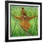 Hang on in There-Pat Scott-Framed Giclee Print