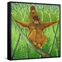 Hang on in There-Pat Scott-Framed Stretched Canvas