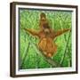 Hang on in There-Pat Scott-Framed Giclee Print