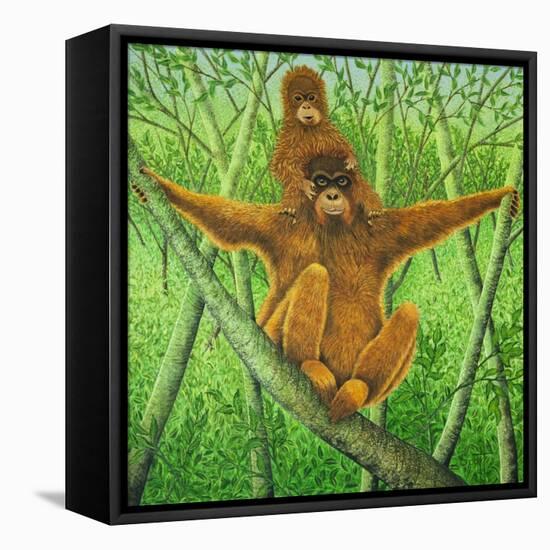 Hang on in There-Pat Scott-Framed Stretched Canvas