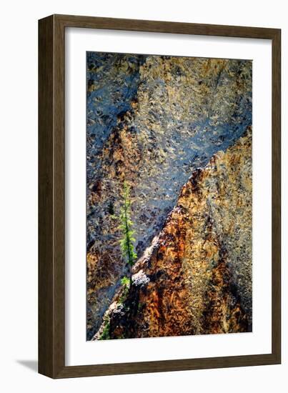 Hang On-Ursula Abresch-Framed Photographic Print