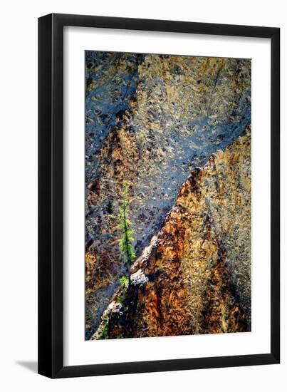 Hang On-Ursula Abresch-Framed Photographic Print