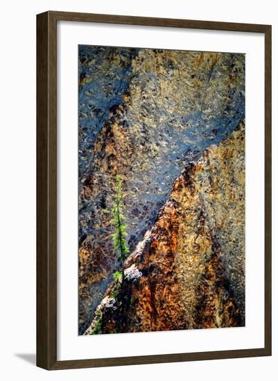 Hang On-Ursula Abresch-Framed Photographic Print