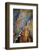 Hang On-Ursula Abresch-Framed Photographic Print