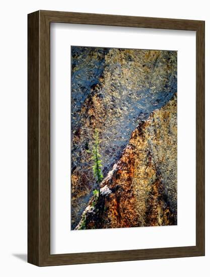 Hang On-Ursula Abresch-Framed Photographic Print