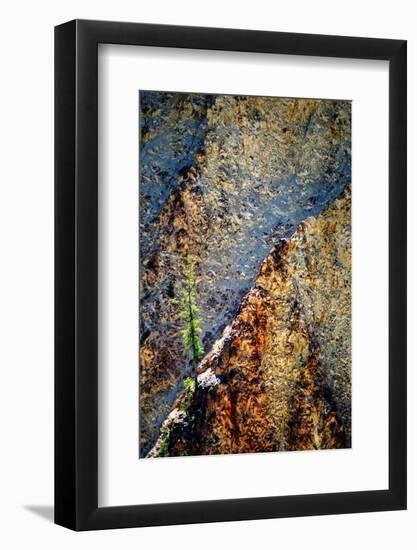 Hang On-Ursula Abresch-Framed Photographic Print