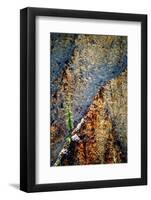 Hang On-Ursula Abresch-Framed Photographic Print