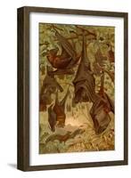 Hanging Bats-F.W. Kuhnert-Framed Art Print