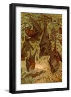 Hanging Bats-F.W. Kuhnert-Framed Art Print