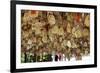 Hanging Blessings of Naxi Pictograms-Simon Montgomery-Framed Photographic Print