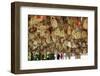 Hanging Blessings of Naxi Pictograms-Simon Montgomery-Framed Photographic Print