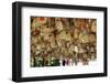 Hanging Blessings of Naxi Pictograms-Simon Montgomery-Framed Photographic Print