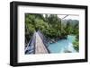 Hanging Bridge Above the Turquoise Water in the Hokitika Gorge, West Coast, South Island-Michael Runkel-Framed Photographic Print