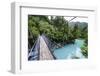 Hanging Bridge Above the Turquoise Water in the Hokitika Gorge, West Coast, South Island-Michael Runkel-Framed Photographic Print