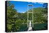 Hanging Bridge in the Los Alerces National Park, Chubut, Patagonia, Argentina, South America-Michael Runkel-Stretched Canvas