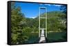 Hanging Bridge in the Los Alerces National Park, Chubut, Patagonia, Argentina, South America-Michael Runkel-Framed Stretched Canvas