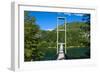 Hanging Bridge in the Los Alerces National Park, Chubut, Patagonia, Argentina, South America-Michael Runkel-Framed Photographic Print