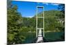 Hanging Bridge in the Los Alerces National Park, Chubut, Patagonia, Argentina, South America-Michael Runkel-Mounted Photographic Print