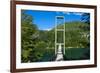 Hanging Bridge in the Los Alerces National Park, Chubut, Patagonia, Argentina, South America-Michael Runkel-Framed Photographic Print