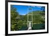 Hanging Bridge in the Los Alerces National Park, Chubut, Patagonia, Argentina, South America-Michael Runkel-Framed Photographic Print