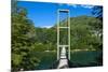 Hanging Bridge in the Los Alerces National Park, Chubut, Patagonia, Argentina, South America-Michael Runkel-Mounted Photographic Print