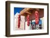 Hanging Chillis-FiledIMAGE-Framed Photographic Print