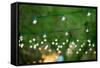 Hanging Decorative Christmas Lights For A Back Yard Party-imging-Framed Stretched Canvas