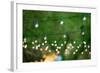 Hanging Decorative Christmas Lights For A Back Yard Party-imging-Framed Photographic Print