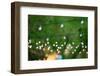 Hanging Decorative Christmas Lights For A Back Yard Party-imging-Framed Photographic Print