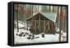 Hanging Deer by Adirondack Cabin, New York-null-Framed Stretched Canvas