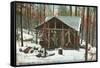 Hanging Deer by Adirondack Cabin, New York-null-Framed Stretched Canvas