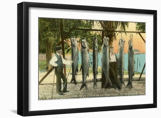 Hanging Fish, St. Petersburg, Florida-null-Framed Art Print