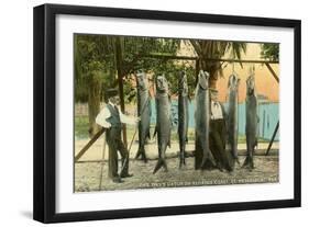 Hanging Fish, St. Petersburg, Florida-null-Framed Art Print