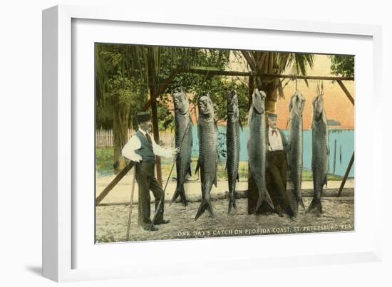 Hanging Fish, St. Petersburg, Florida-null-Framed Art Print