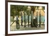 Hanging Fish, St. Petersburg, Florida-null-Framed Art Print